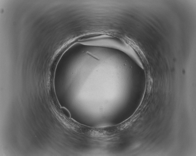 X0000086060346200703231247