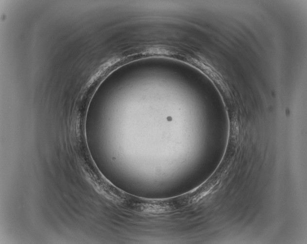 X0000086060347200703231247