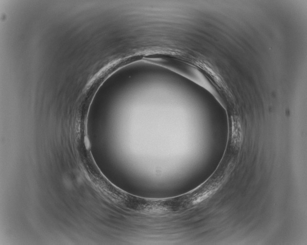 X0000086060348200703231247