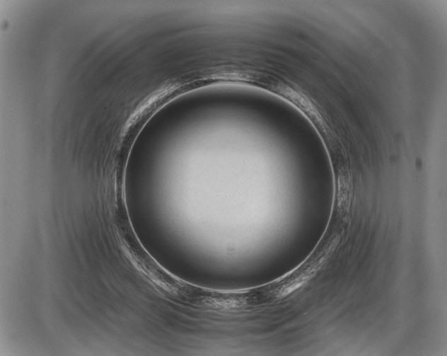 X0000086060349200703231247