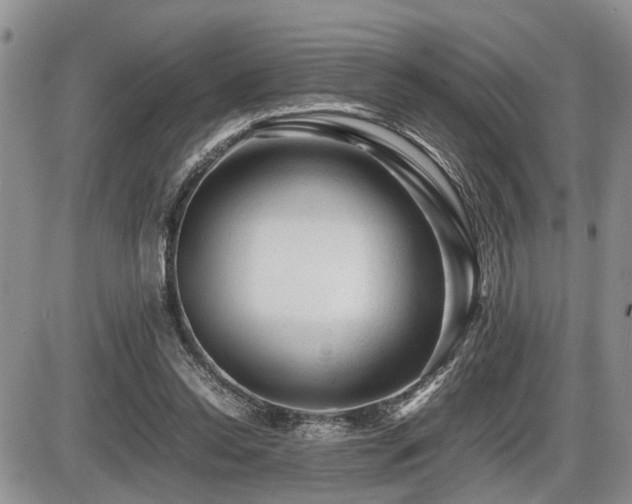 X0000086060350200703231247