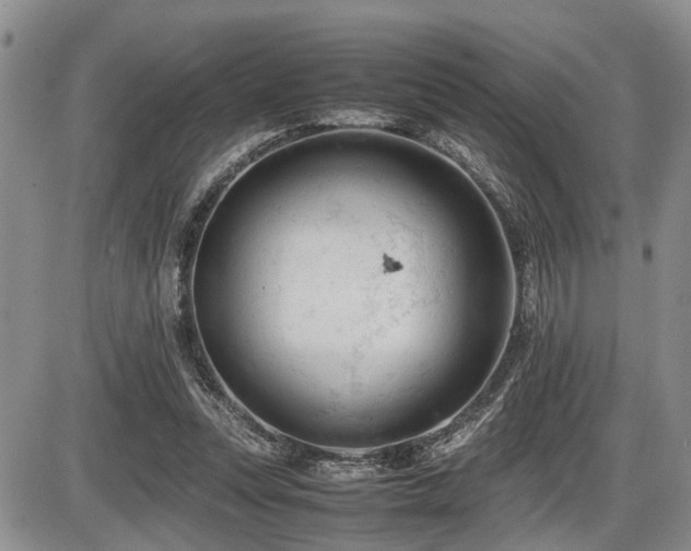 X0000086060351200703231247