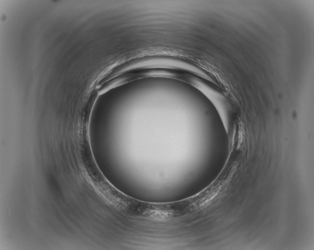 X0000086060352200703231247