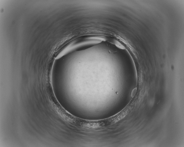 X0000086060353200703231247