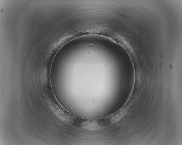 X0000086060354200703231247