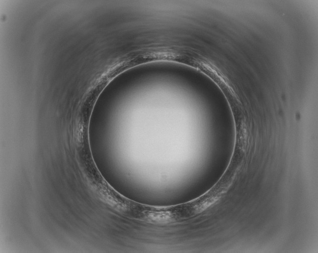 X0000086060355200703231247