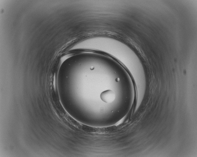 X0000086060356200703231247