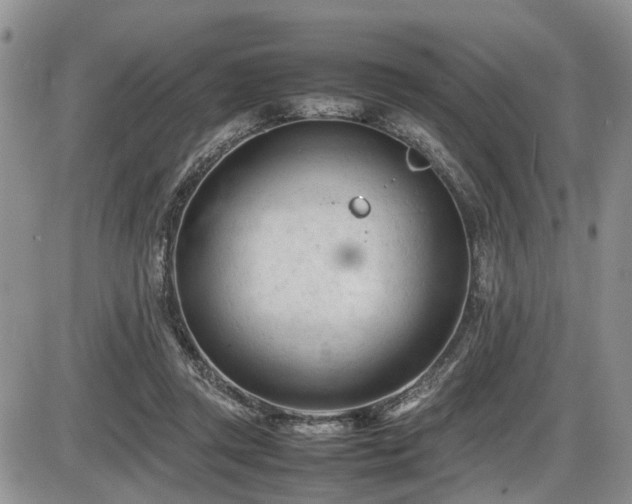 X0000086060357200703231247