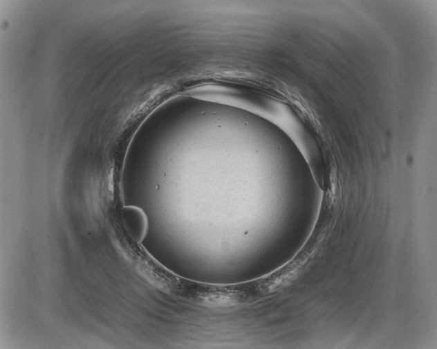 X0000086060358200703231247