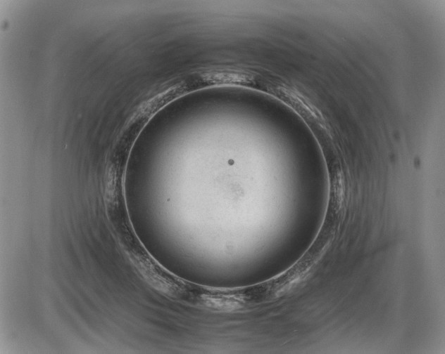 X0000086060359200703231247