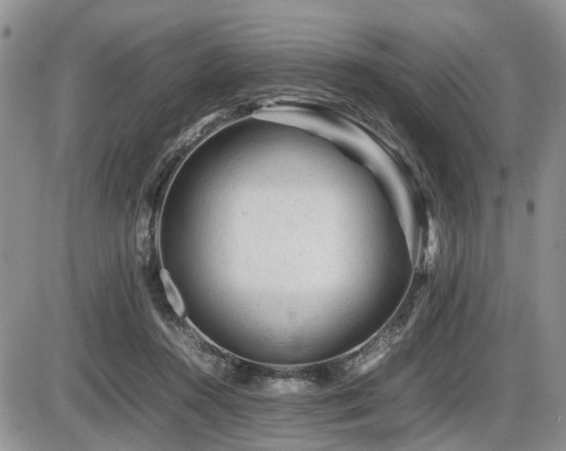 X0000086060360200703231248