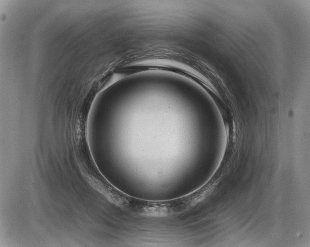 X0000086060362200703231248