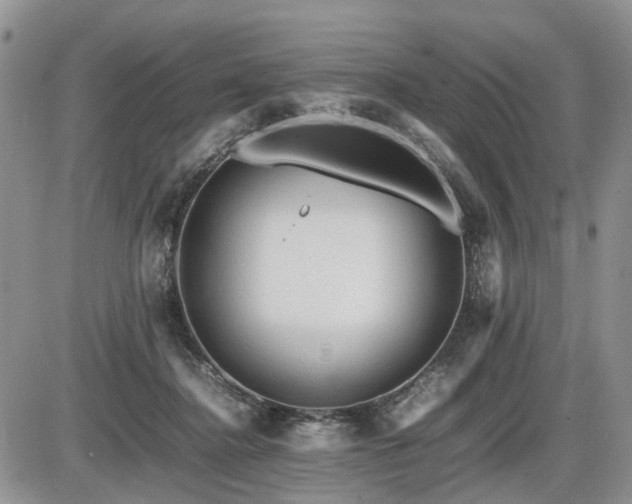 X0000086060364200703231248