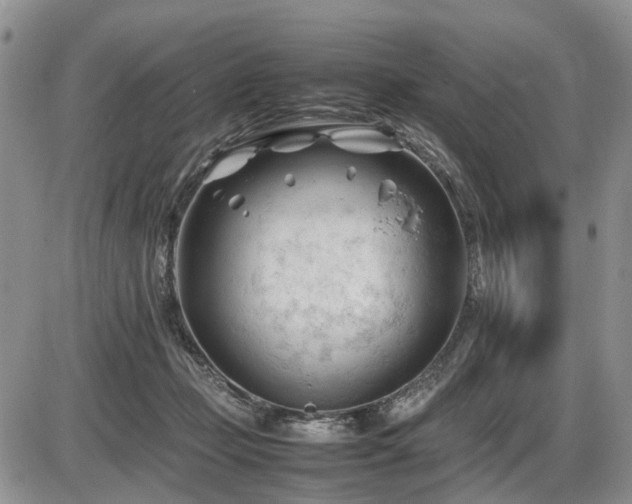 X0000086060365200703231248