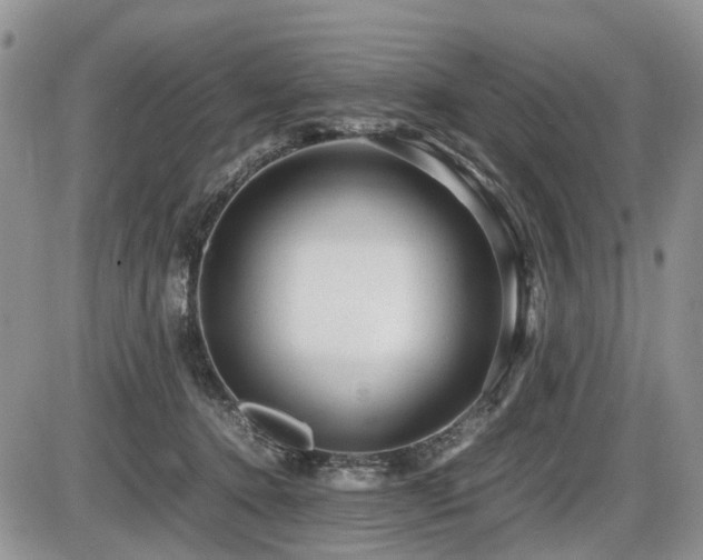 X0000086060368200703231248