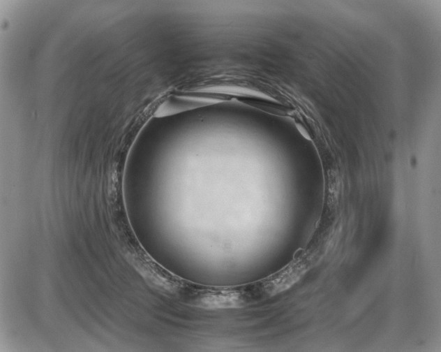 X0000086060369200703231248