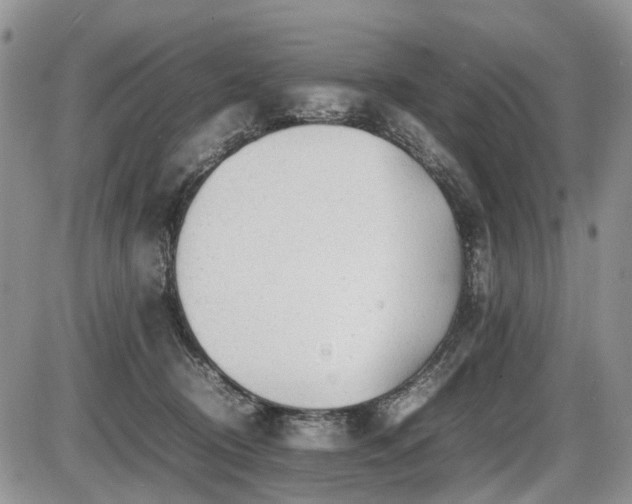 X0000086060370200703231248