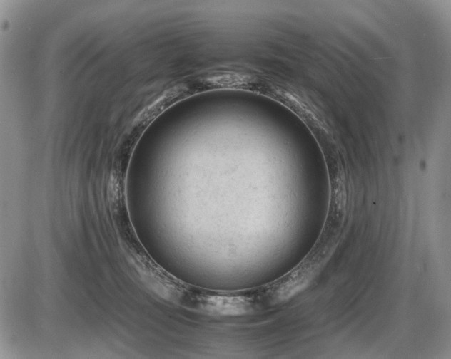 X0000086060371200703231248