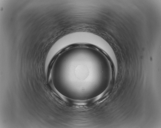 X0000086060372200703231248