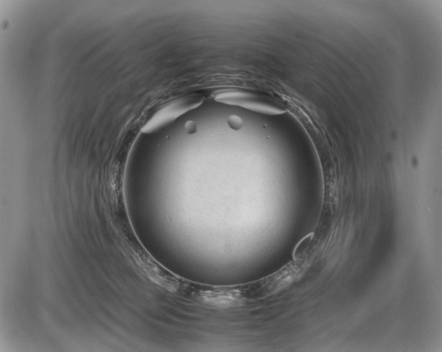 X0000086060373200703231248