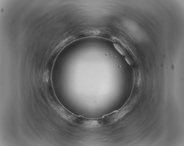 X0000086060374200703231248