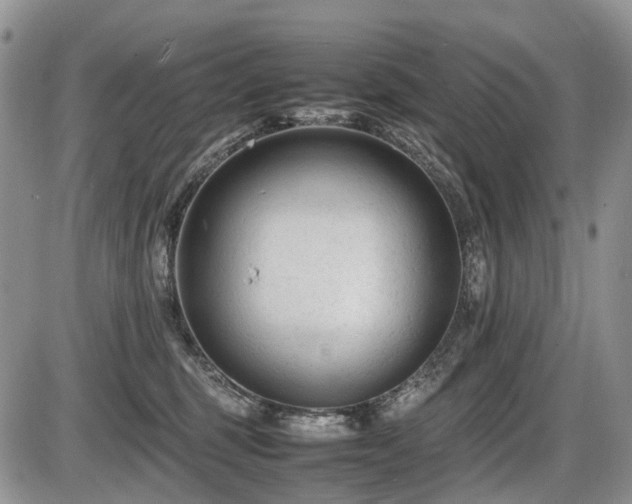 X0000086060375200703231248