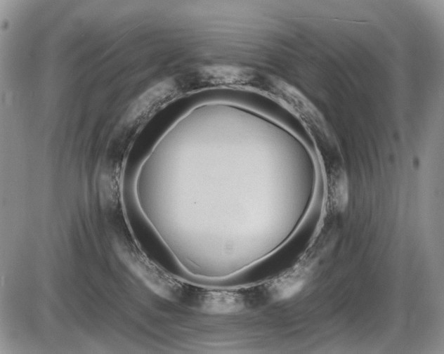 X0000086060376200703231248