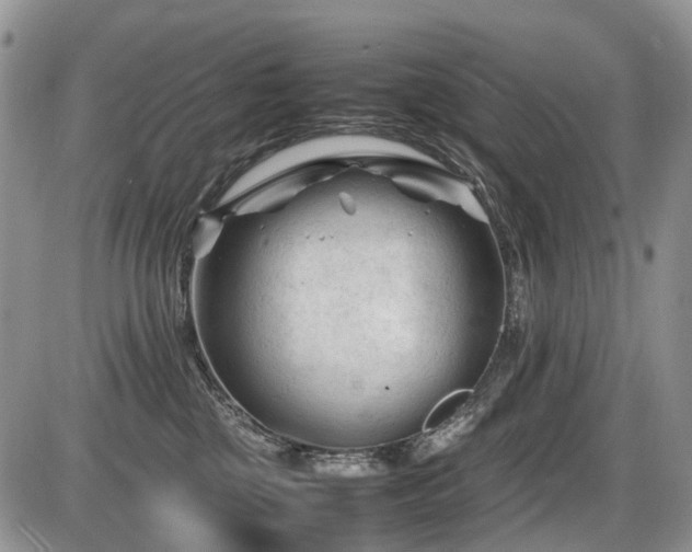 X0000086060377200703231248