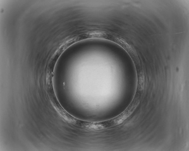 X0000086060379200703231248