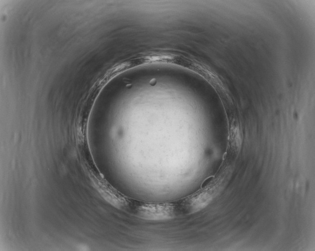 X0000086060381200703231248