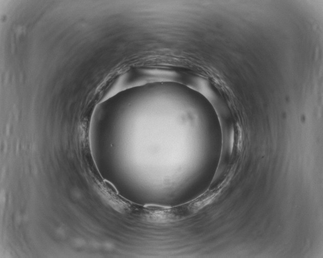 X0000086060382200703231248