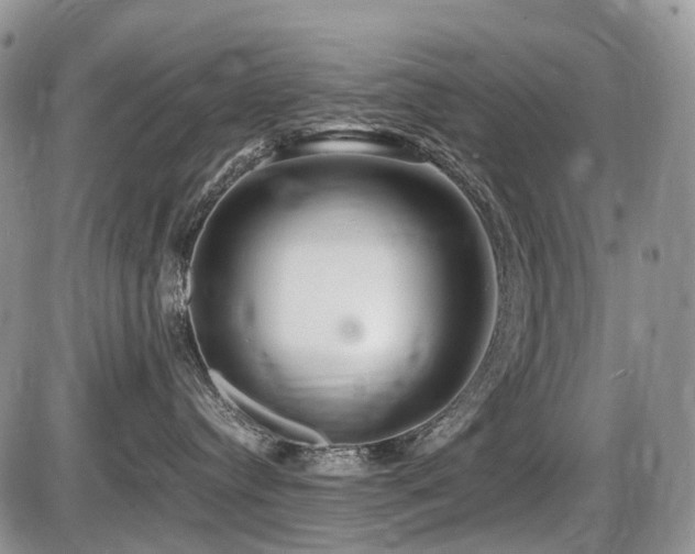 X0000086060384200703231248