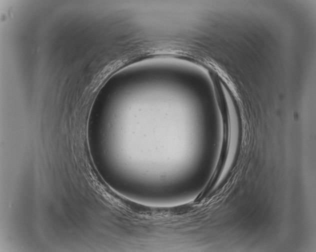 X0000086060385200703231247