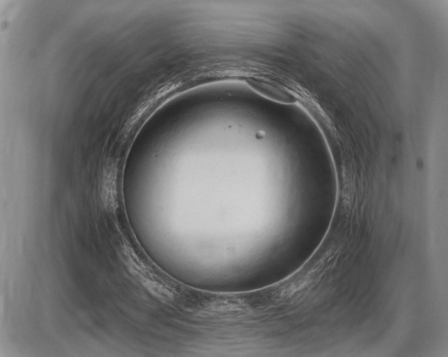 X0000086060386200703231247