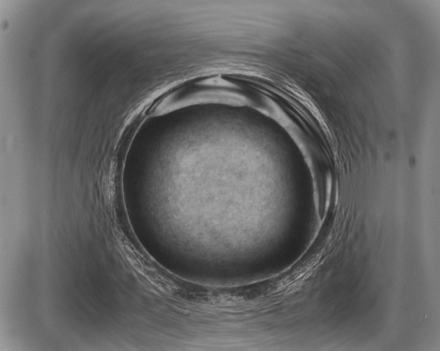 X0000086060387200703231247