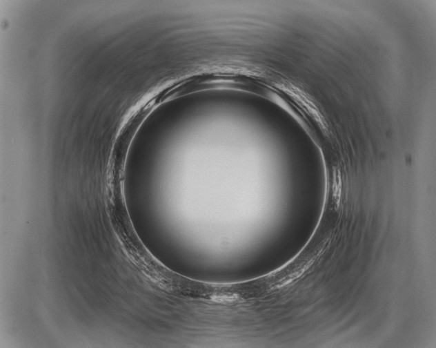 X0000086060388200703231247