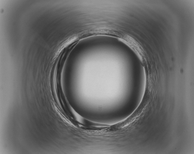 X0000086060389200703231247