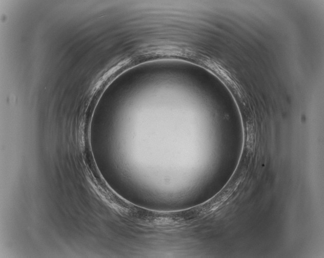 X0000086060390200703231247