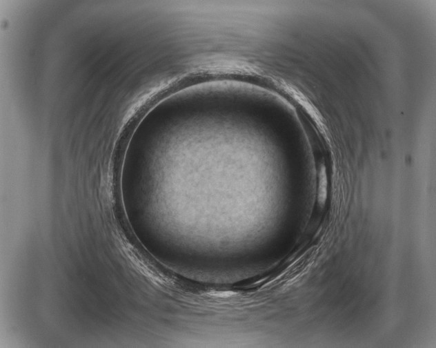 X0000086060391200703231247