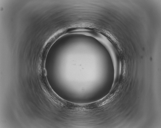 X0000086060392200703231247