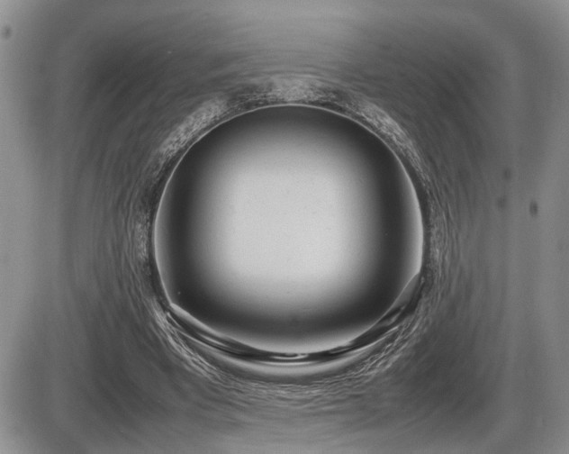 X0000086060393200703231247