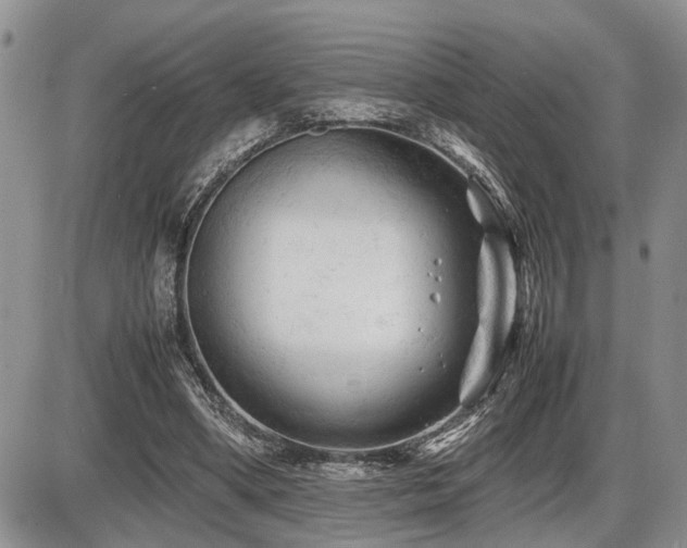 X0000086060394200703231247