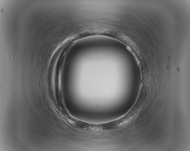 X0000086060395200703231247