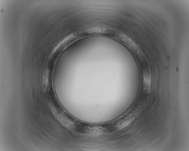 X0000086060396200703231247