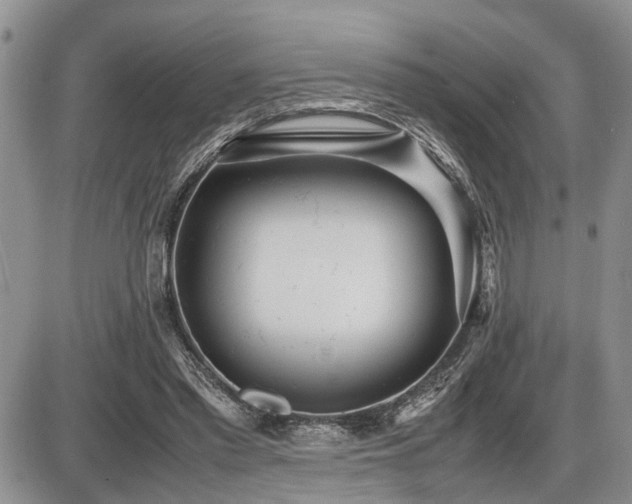 X0000086060397200703231247