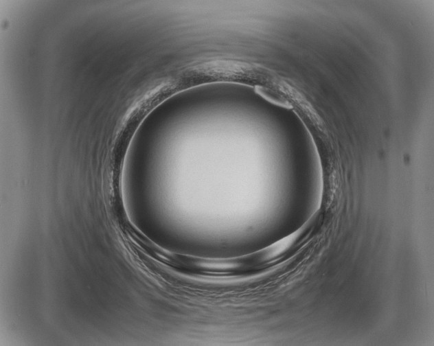 X0000086060399200703231247