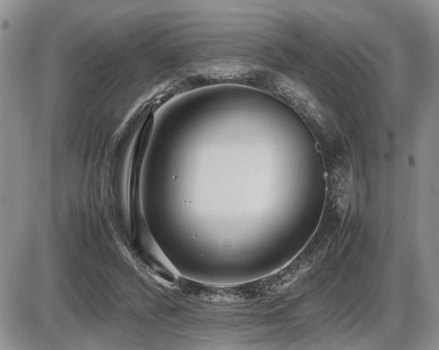 X0000086060400200703231247