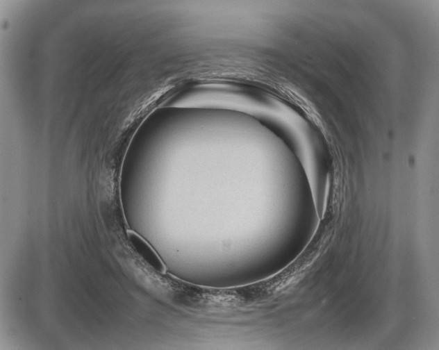 X0000086060401200703231247