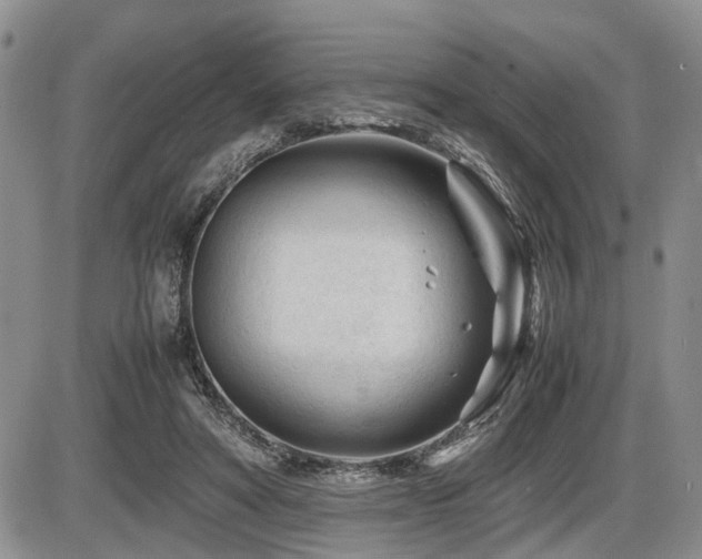 X0000086060402200703231247