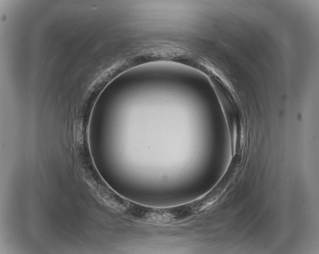 X0000086060403200703231247